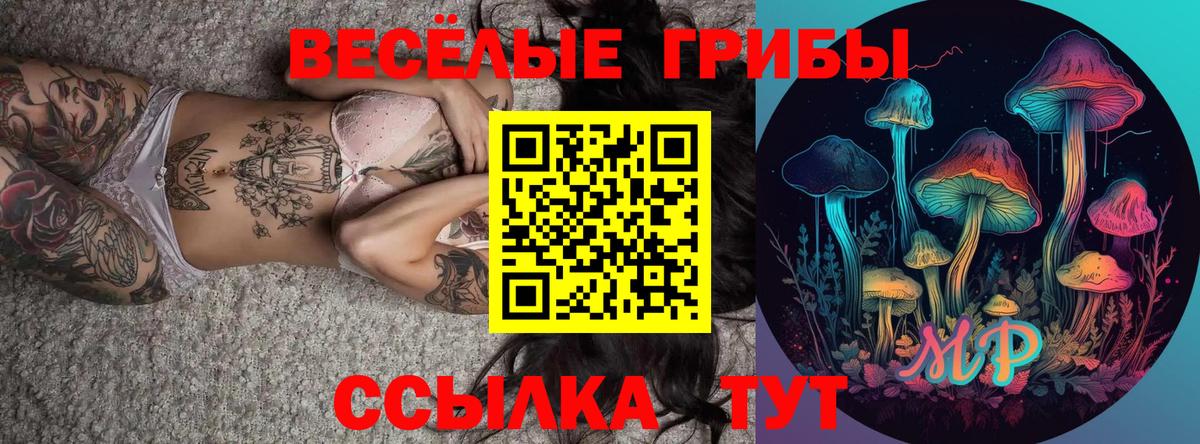 Галлюциногенные грибы мицелий Салехард