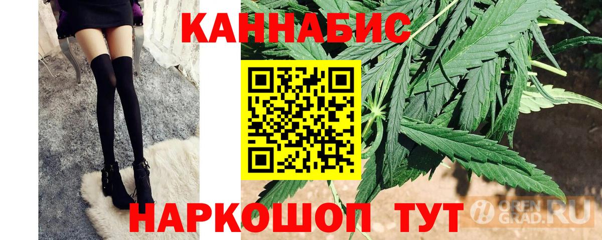 Каннабис план Салехард